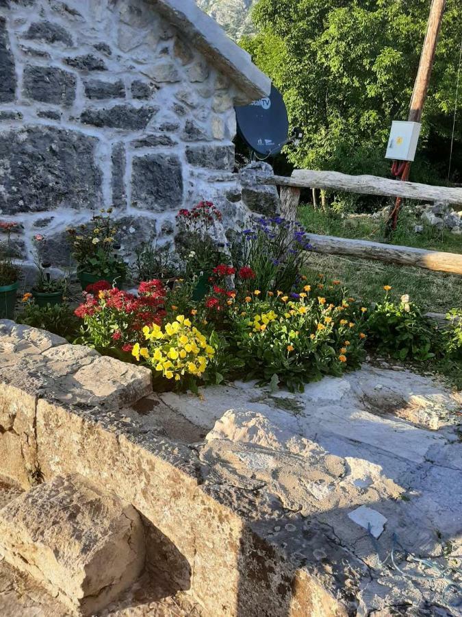 Willa Ethno House Kosic Herceg Novi Zewnętrze zdjęcie